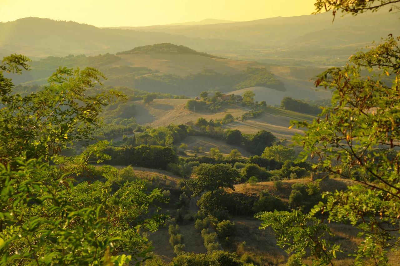 Querceto Castello Ginori Di Quercetoアパートメント エクステリア 写真