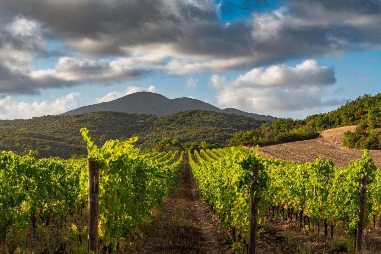 Querceto Castello Ginori Di Quercetoアパートメント エクステリア 写真