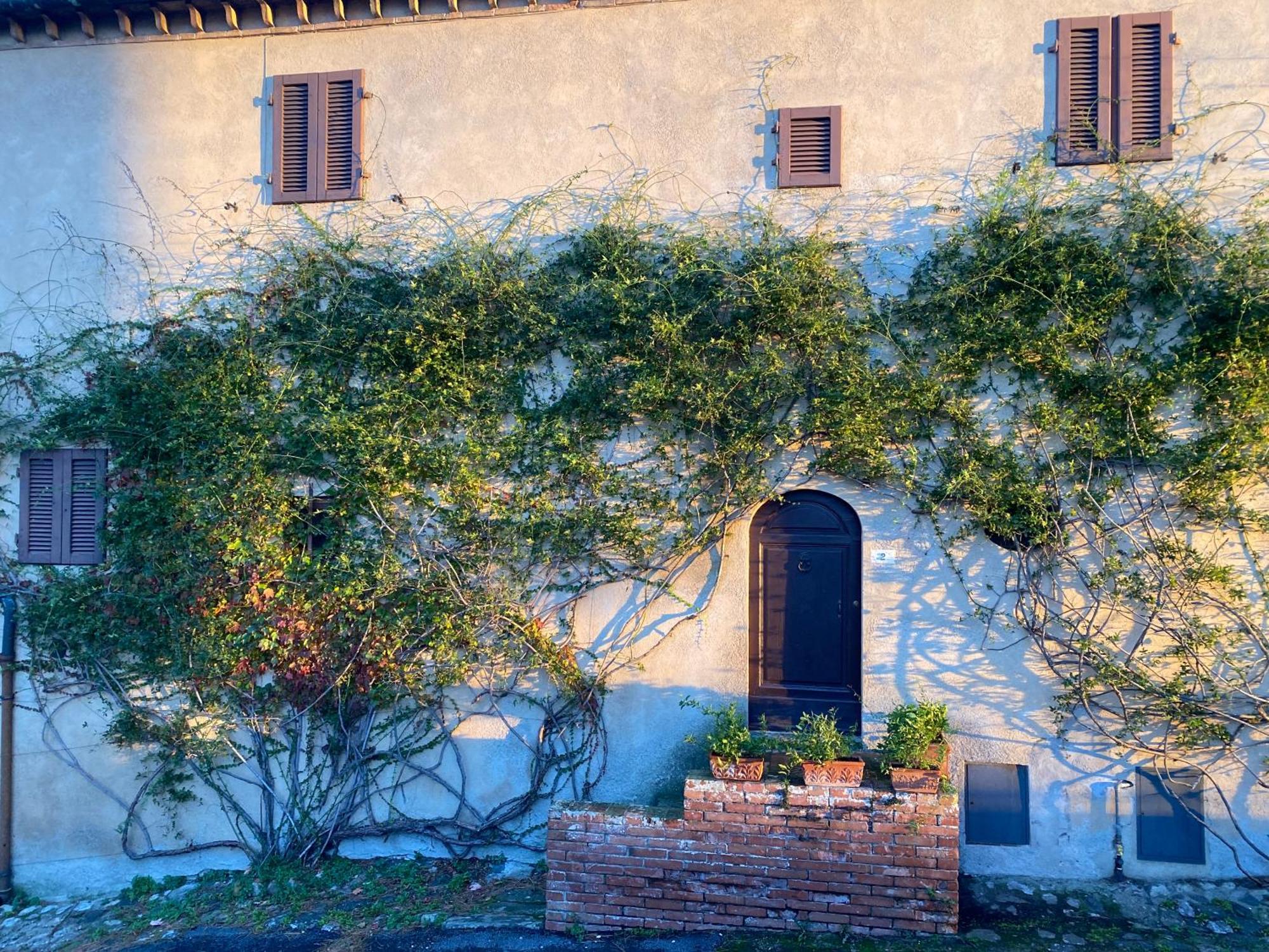 Querceto Castello Ginori Di Quercetoアパートメント エクステリア 写真
